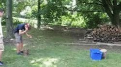 Animated Gif showing: Ooosh... That Might Have Hurt - Funny