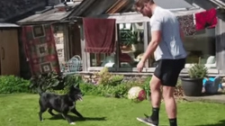 Animated Gif showing: Dog With Awesome Soccer Skills