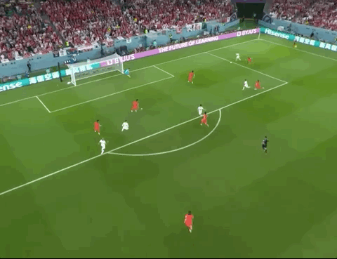 Animated Gif showing: World Cup 2022 - South Korea vs Portugal 2-1: Ricardo Horta's Goal