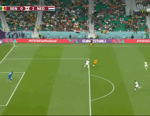 Animated Gif showing: World Cup 2022 - Senegal vs Netherlands 0-2: Davy Klaassen's Goal