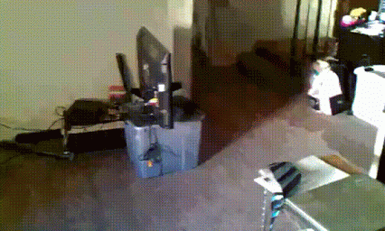 Animated Gif showing: Running Corgi Suddenly Stops On The Floor