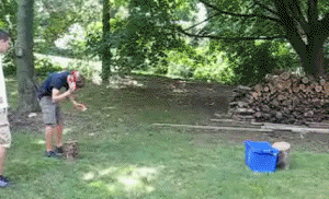 Animated Gif showing: Ooosh... That Might Have Hurt - Funny