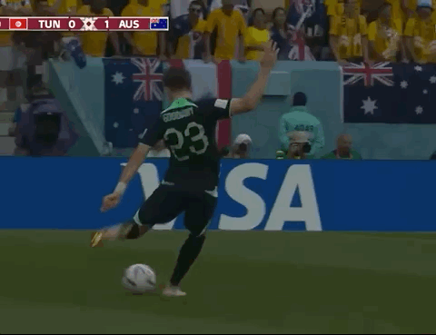 Animated Gif showing: World Cup 2022 - Tunisia vs Australia 0-1: Mitchell Duke's Goal