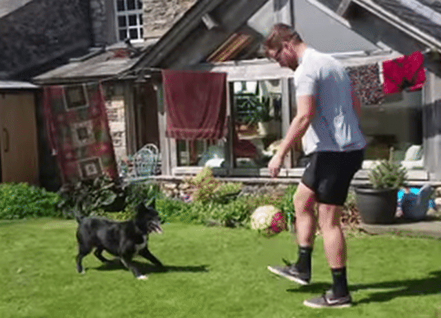 Animated Gif showing: Dog With Awesome Soccer Skills