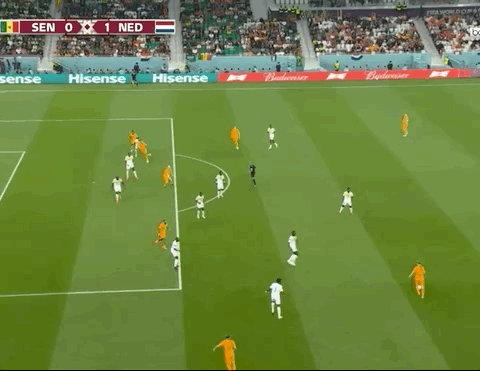 Animated Gif showing: World Cup 2022 - Senegal vs Netherlands 0-2: Cody Gakpo's Goal